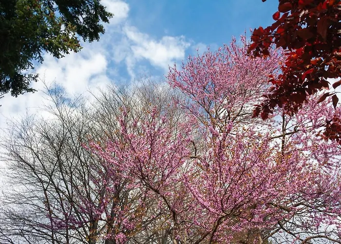Lägenhet Casa Del Borgo 